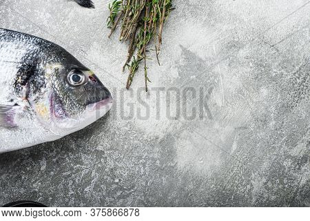 Raw Dorado Or Seabream Fish With Herbs For Grill Over Textured Grey Background  Top View Selective F
