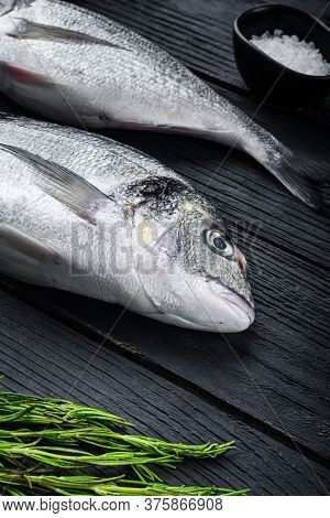 Raw Whole Pair  Dorado Or Sea Bream Fish With Herbs For Grill Uncooked  On Black Wooden Table Side V