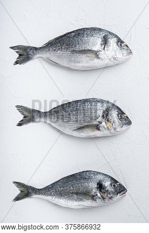 Raw Three  Sea Bream Or Gilt Head Bream Dorada Fish On White Background, Top View.