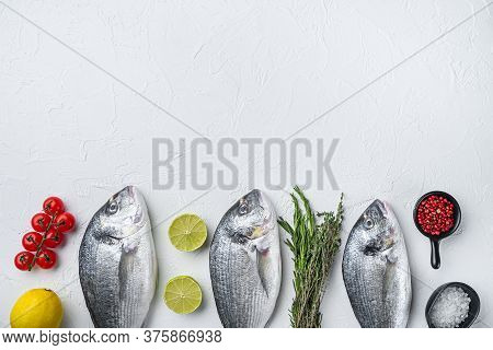 Raw Three  Sea Bream Or Gilt Head Bream Dorada Fish With Herbs Pepper Lime Tomato For Cooking And Gr