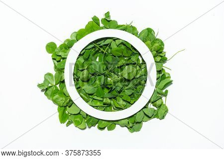 Creative Layout Made Of Clover Green Leaves. Flat Lay. Nature Background