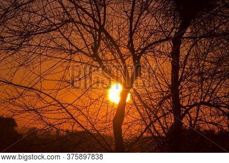 Sunset Behind The Tree Branches From The Capital Of Spain, Madrid.