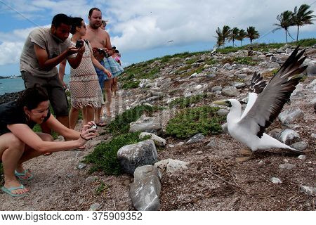 Caravelas, Bahia / Brazil - October 22, 2012: Tourists Visit Island In Abrolhos Marine Park In South
