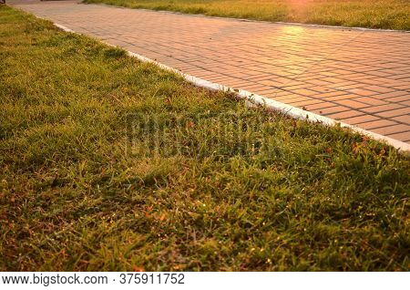Dew On The Green Grass At Dawn. Selective Focus, Paving Slabs In The Park Through The Meadow, Horizo