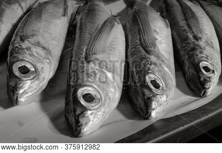 Fish On The Table. Flying Fish (exocoetidae). Close Up. Black And White.