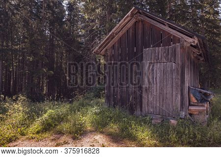 Wooden Hut Hidden In The Forest, Daytime Landscape Image