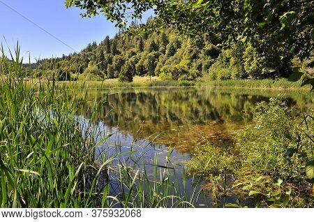 View Over A Lake At Mount Palomar National Park
