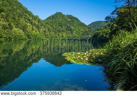 Trees Are Reflected On Lake Levico With The Mountains In The Background In Trento, Italy