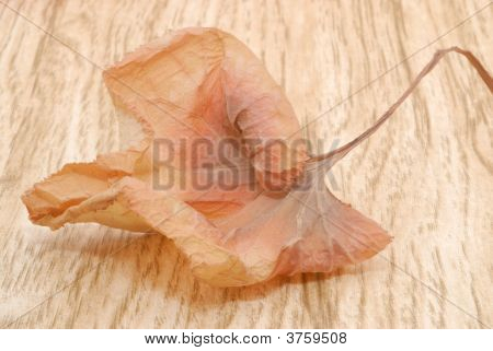 Herbst geht