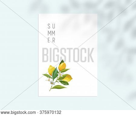 Stationary Template With Lemon Fruits, Leaves And Flowers On White Paper Sheet. Summer Botanical Des