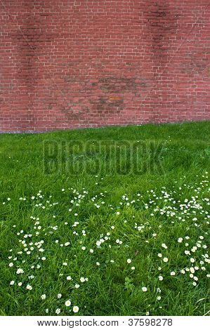 Muro di mattoni sul campo di fiori