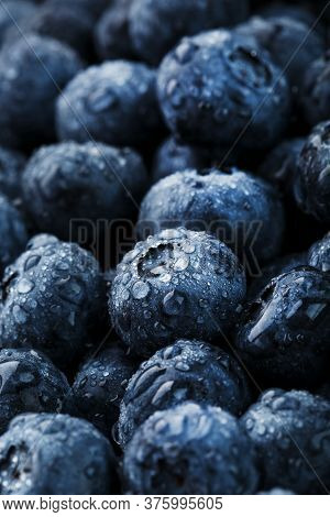 Blueberries Close-up In Full Screen With Dew Drops.