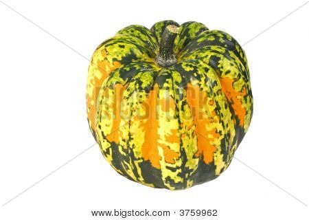 Carnival vinteren Squash