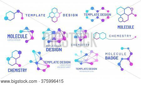 Molecule Logos. Chemistry And Science Logotype With Hexagonal Structure And Molecular Grids Template