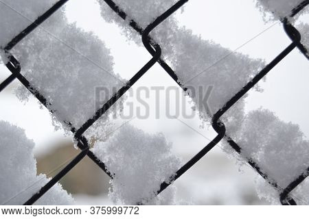 Nature Clinging Where It Can

The Snow That Stays Anywhere In The City, In This Case On A Fence.
