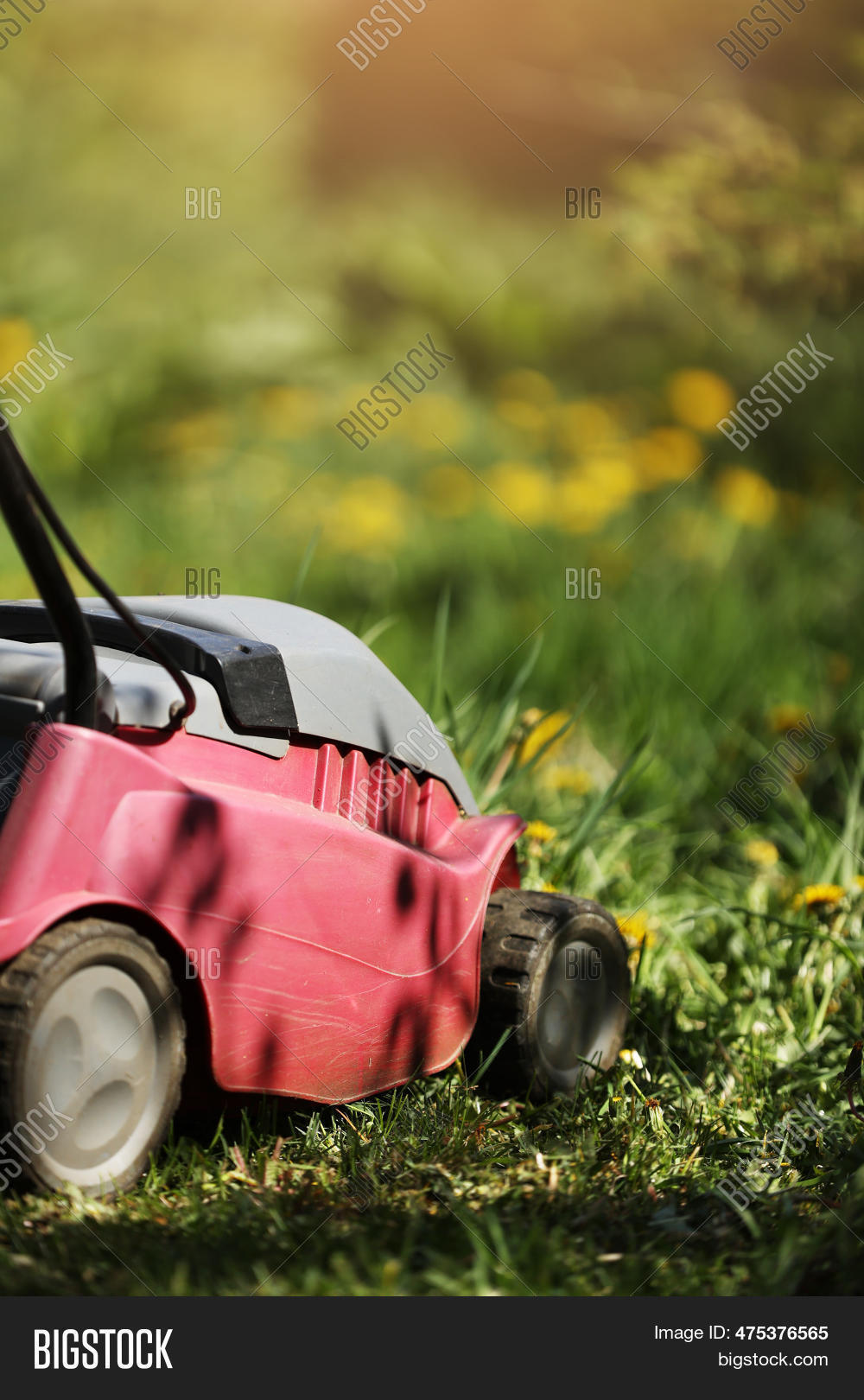 Lawn mower discount service at home