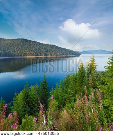 Mountain Lake Vidra Summer Evening View (near Romania Transalpina Road)