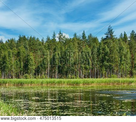 Lake Ruotsalainen Summer View With Water Lilys On Surface (near Hevossaari, Finland).