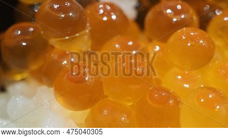 Close Up Of Sashimi Salmon Roe With Rice Bowl Or Donburi In Japanese Style Food.