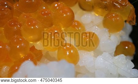 Close Up Of Sashimi Salmon Roe With Rice Bowl Or Donburi In Japanese Style Food.