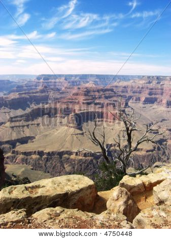 Collezione Grand Canyon