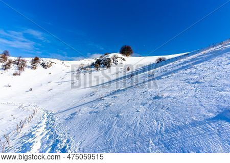 2023 01 128 Campofontana Snowy Landscapes 2