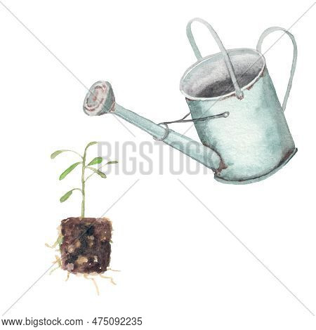 Leica. Watering Can For Garden. Clipart. Hand Drawn Watercolor Illustration