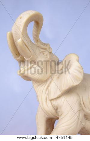 Elefant