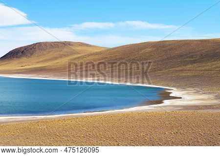 Amazing Deep Blue Lagoon Of Laguna Miniques, Located In The Altiplano Of Antofagasta Region, Los Fla