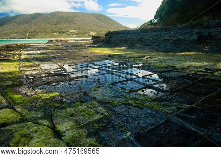 Tessellated Pavement In Tasmania Is A Stunning Place Formed By Patterned Stilstone With The Tasman S
