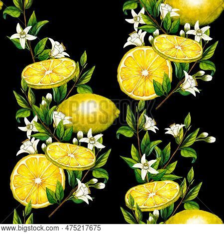 Watercolor Seamless Pattern With Botanical Illlustration Of Lemon Tree Branch With Flowers On Black 