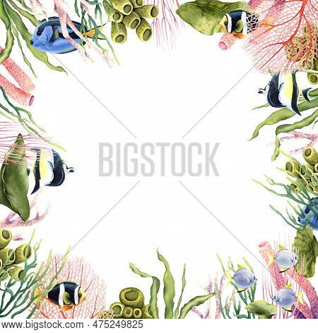 Frame Border With Underwater Corals, Plants And Tropical Fish. Hand Drawn Watercolor Illustration Is