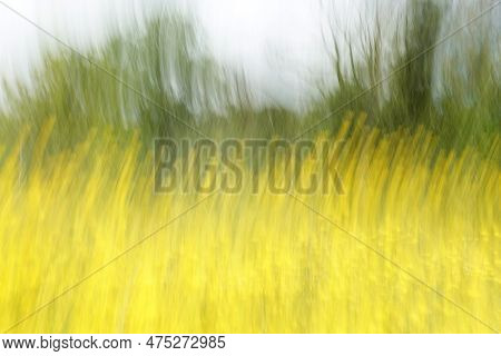 Color Field Of Yellow Flowers And Trees Abstract Motion Blur Impressionist Landscape. Intentional Ca