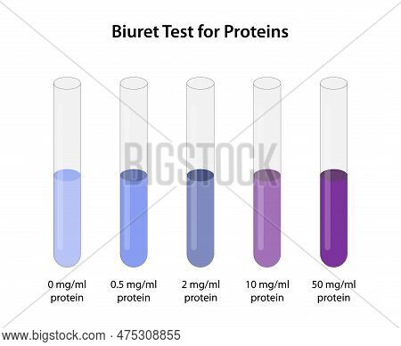 Biuret Test For Proteins, Also Known As Piotrowski's Test