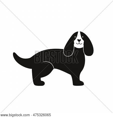 Cinco De Mayo 2000 2