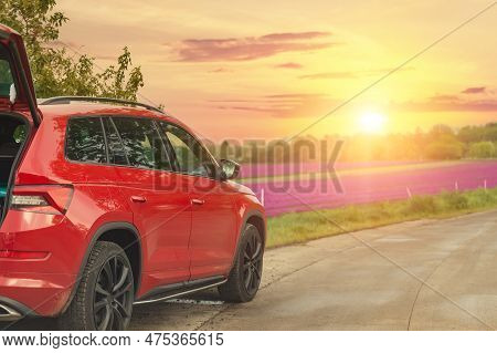 Modern Red Suv Car Parked On Rural Road Near Blooming Flower Field Against Scenic Warm Evening Sunse