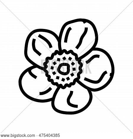 Buttercup Blossom Spring Line Icon Vector. Buttercup Blossom Spring Sign. Isolated Contour Symbol Bl