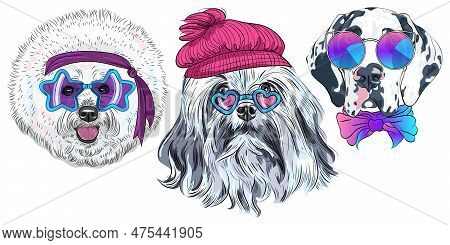 Set Of Hipster Dogs In Trendy Multicolored Mirror Sunglasses, Star Disco Bichon, Lion Bichon And Har