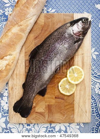 Appena pescato pesca alla trota