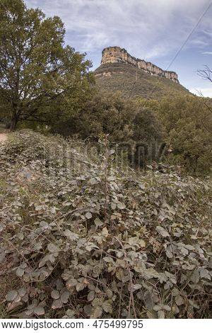 Collsacabra Mountains Landscape In Guilleries National Park In Catalonia