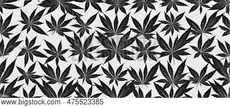 Cannabis Leaf Seamless Pattern. Medicine Marijuana Textre. Medical Cannabis Sign. Legalize Symbol. D