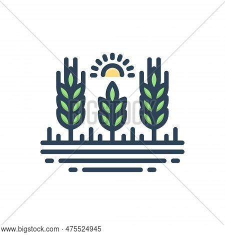 Color Illustration Icon For Harvest Wheat Crop Yield Agricultural Agricultural-produce Reaping Ingat