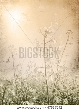 Vintage flower baggrund på lys sepia grunge papir