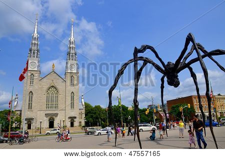 Maman e Basilica Cattedrale di Notre-Dame