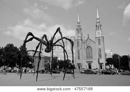 Notre-Dame katedral Basilica og Maman