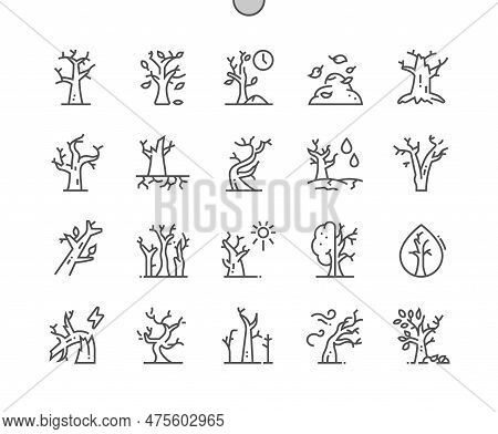 Dry Tree. Drought. Branch. Dried Dead Trees. Old Wood And Nature. Pixel Perfect Vector Thin Line Ico