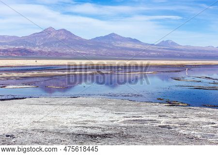 View Of Chaxa Lagoon