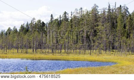 View Of Landscape In Lake Region Of Finland