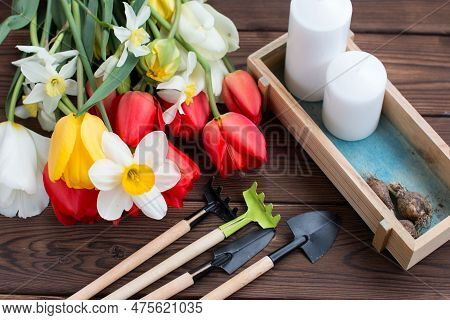 Planting Seedlings Of Flowers In Pots, Caring For Plants, As Well As Tools For The Garden, A Shovel 