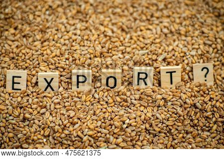 Export Grain, Wheat Concept. The Word Export And A Question Mark On A Grain Background.